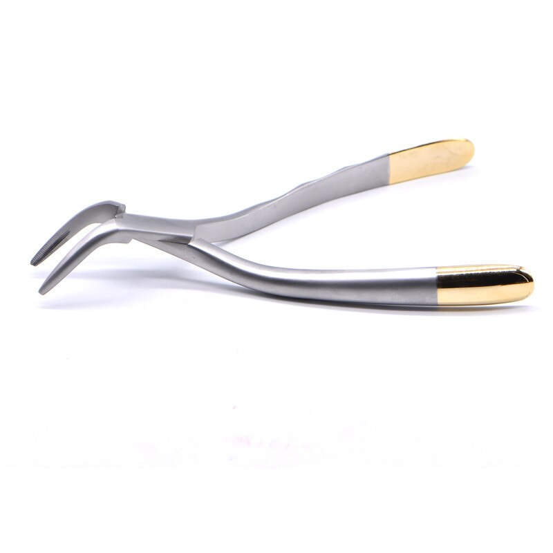 Dental Root Fragment Minimally Invasive Tooth Extraction Forcep Tooth Pliers Dental Instrument Curved Maxillary Mandibular Teeth