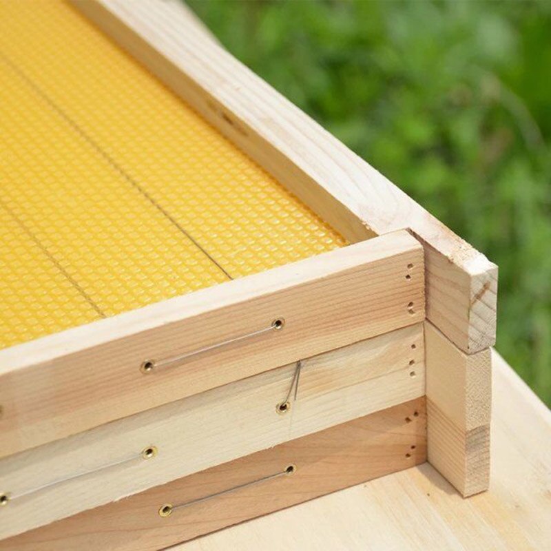 Instalación de colmenas de abejas, agujero de rosca Chapado en cobre, Material sobre herramientas de apicultura, Ojos de cobre, suministros de apicultura, 12100 Uds.