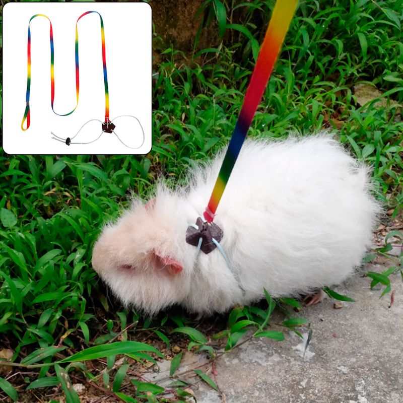 Justerbar kæledyr hamster sele reb gerbil bomuld reb sele bly krave til rotte mus hamster kæledyrsbånd