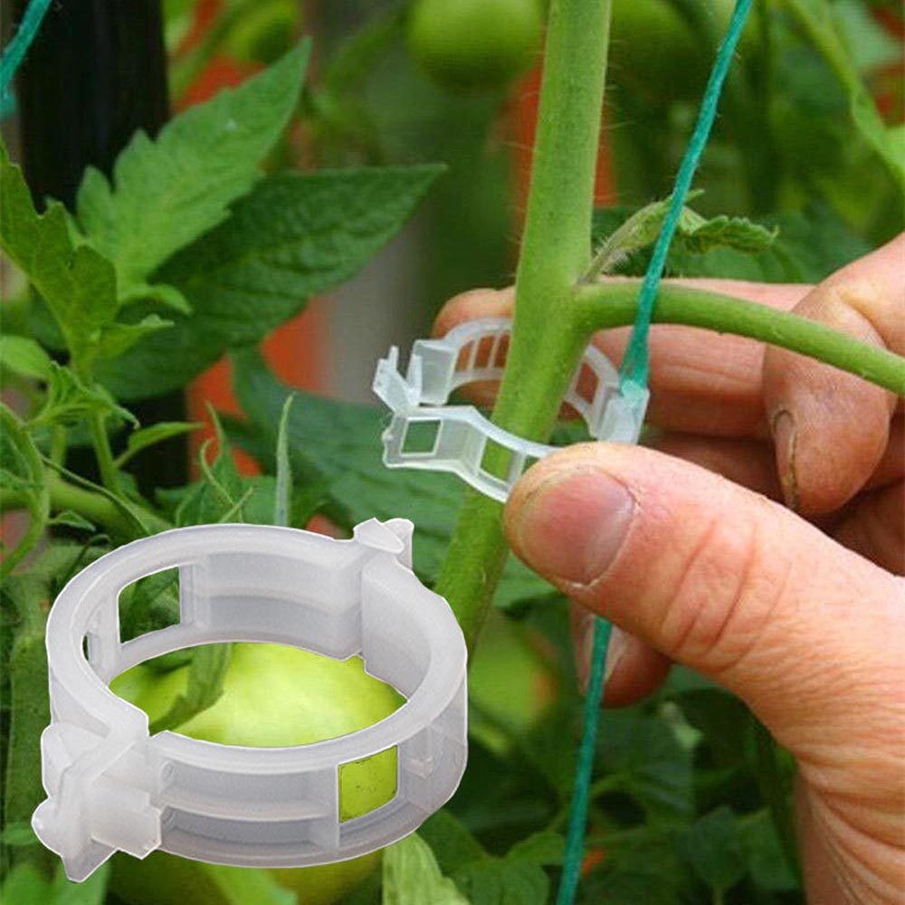 100pcs Reusable Plastic Plant Support Clips clamps For Plants Hanging Vine Garden Greenhouse Vegetables Tomatoes Clips