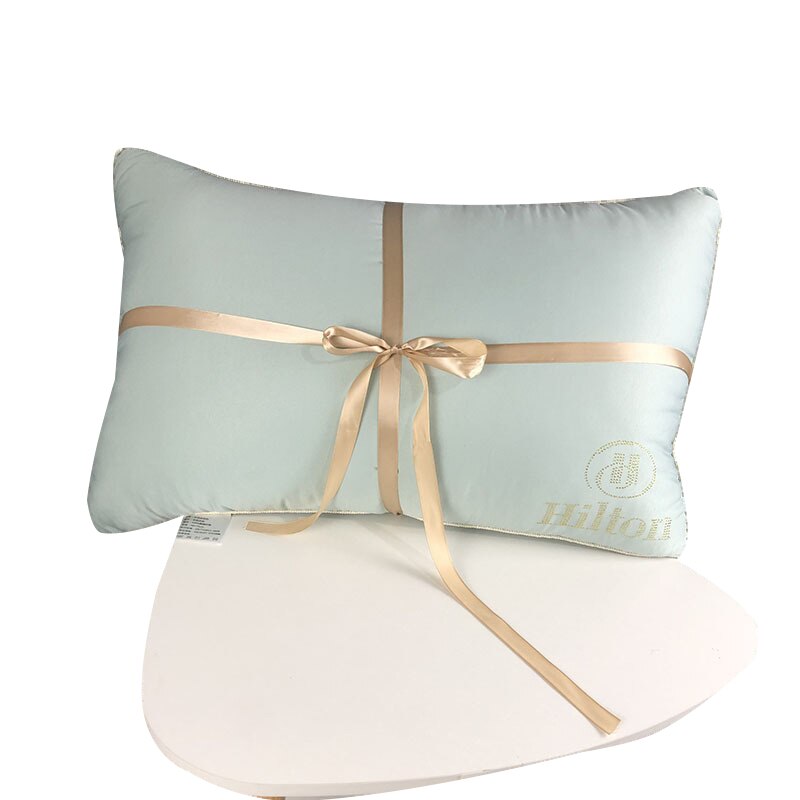 48x74cm maison Textile velours oreiller noyau luxe fleur chaude oreiller pour hôtel literie plume coussin noyau
