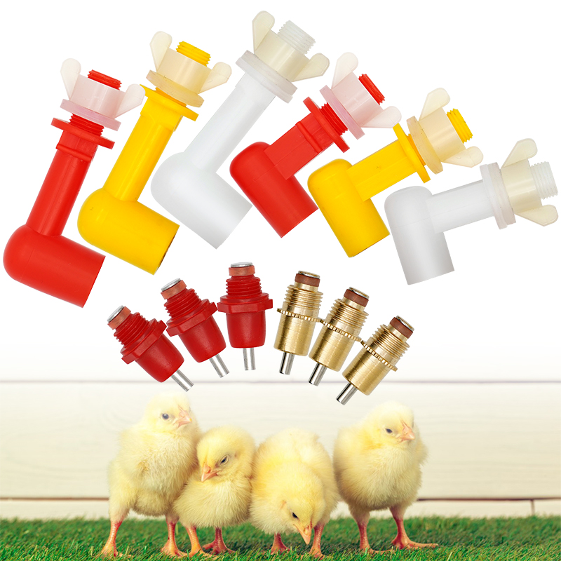 5 pièces abreuvoirs de mamelon d'eau de poulet lapin caille poussins dinde canards volaille mamelons d'eau étanche Type de ressort automatique