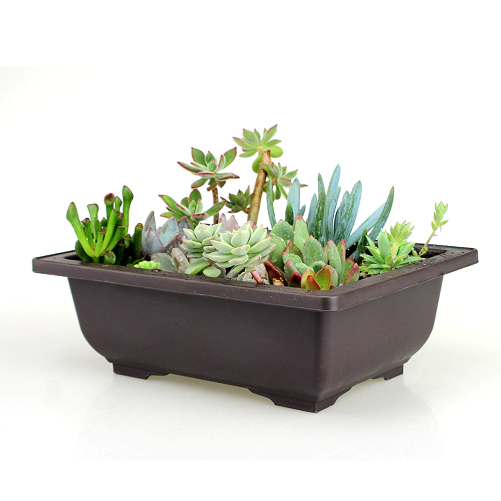 Monikokoinen kukkaruukku parveke neliö bonsai ruukut neliö/suorakulmio jäljitelmä hiekka kasvitarjotin kuutio puutarha kukkaruukut
