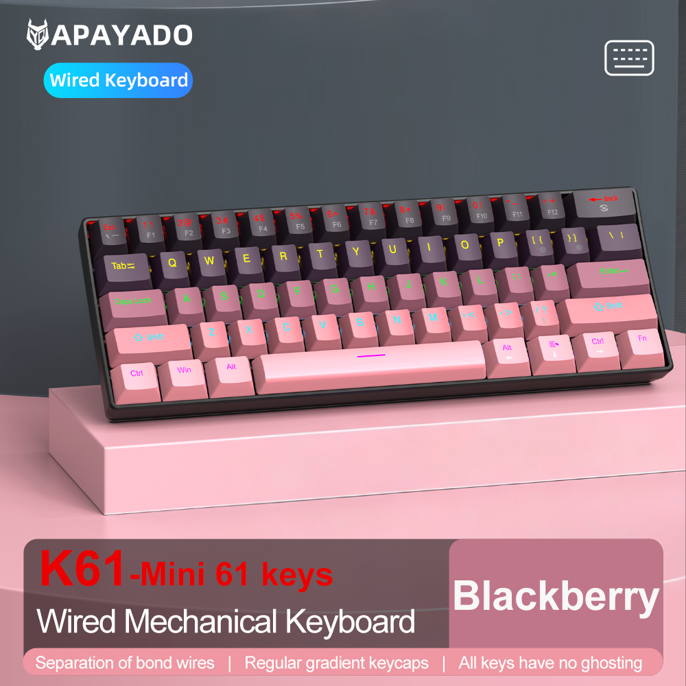 Mini 61 Keys K61 Wired Mechanical Keyboard | Compact Layout | Detachable Cable | Gradient Keycaps | Full N-Key Rollover: Natural / Red Switch