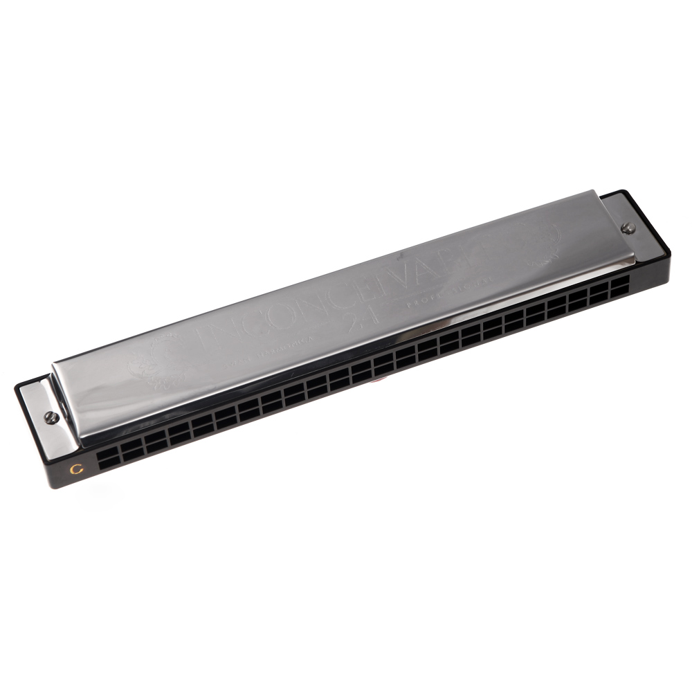 Tremolo Harmonica Mouth Organ 24 Double Holes with 48 Reeds Key of C Free Reed Wind Instrument with Silver Case