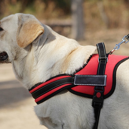 Luxus Sattel Stil Hund Riemen Hand Griff Hunde Haustier Towser Ziehen Sport nutzbar machen Weste