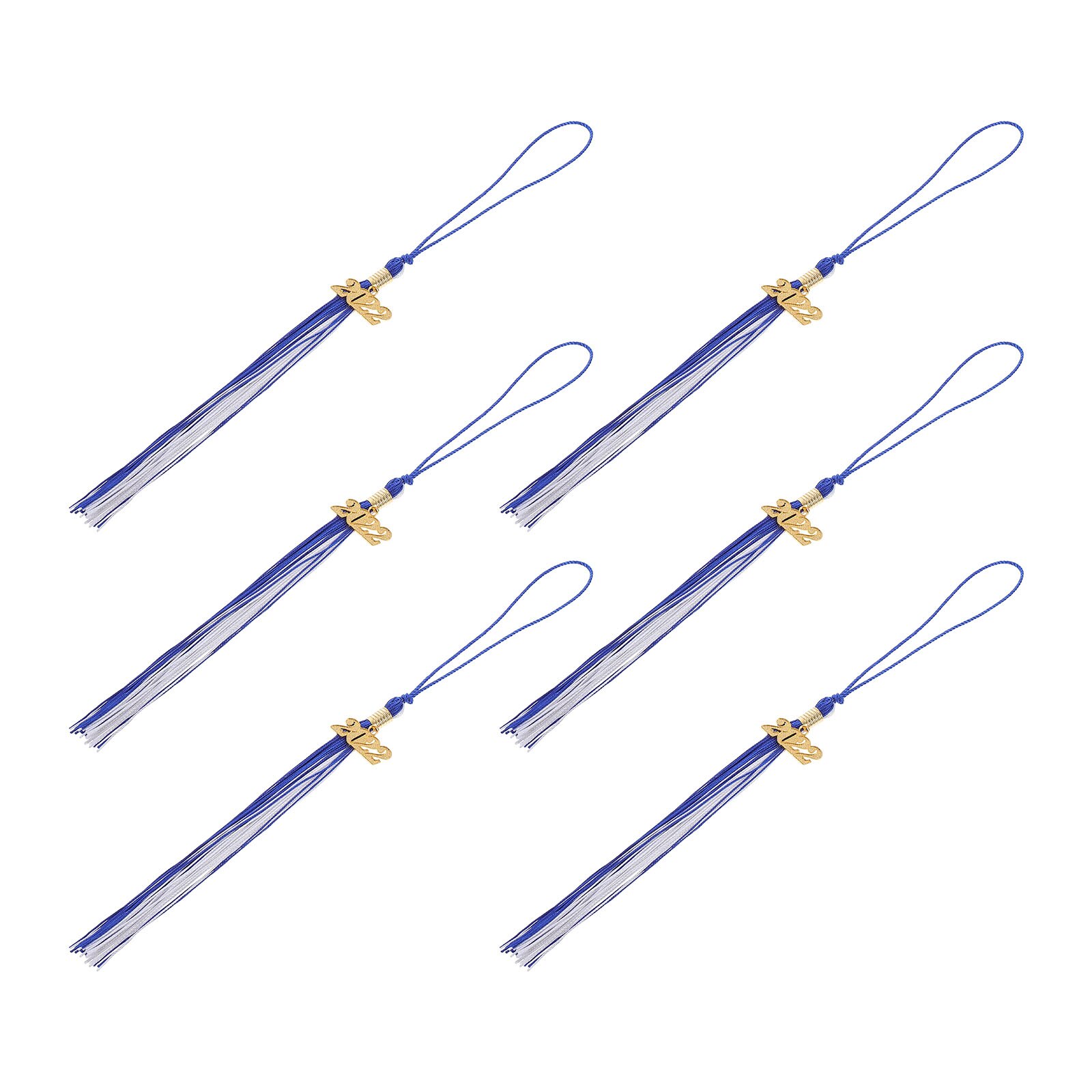 6Pcs Graduation Hat DIY Accessories Doctoral Caps Tassel Decorative Fringe Pendant