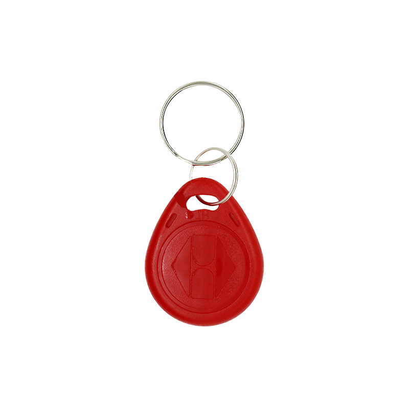 50/100Stck RFID 125KHZ Schild kopie wiederbeschreibbare schlüssel wiederholen löschen em4305 T5577 kette schlüssel Ring induktion Zeichen: 20Stck