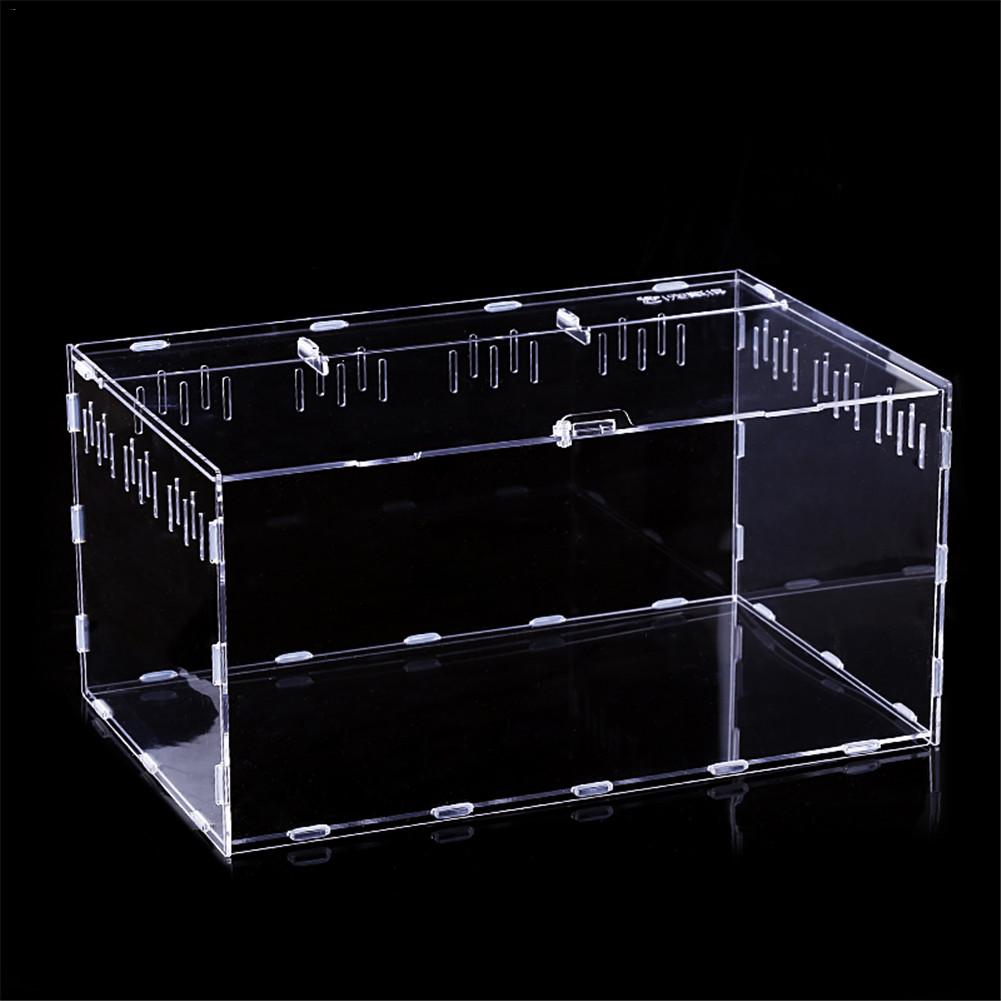 thumbnail interactive-video image 1 of 4-Grid Acrylic Reptile Terrarium – Climbing Cage For Lizard, Spider, Snake (30.5x24x29cm) 1 of 4
