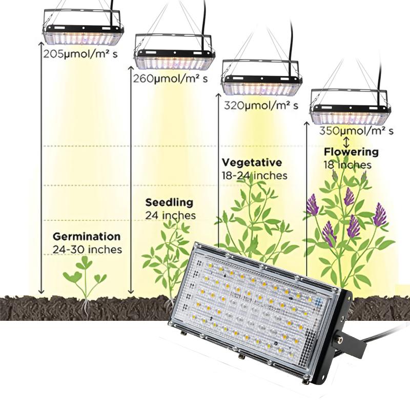 Luz LED de espectro completo de 800W para cultivo de plantas, 3500K/5500K 50 cuentas de luz LED IP66 a prueba de agua para invernadero de interior, bonsái