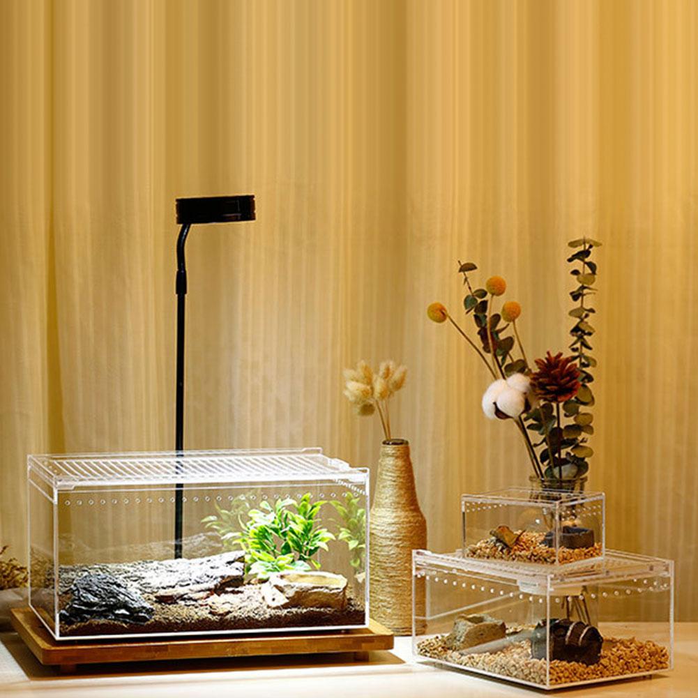 tanque para reptiles insectos arañas tortuga lagarto acrílico transparente caja de cría Vivarium tapa reptil mascota producto terrario