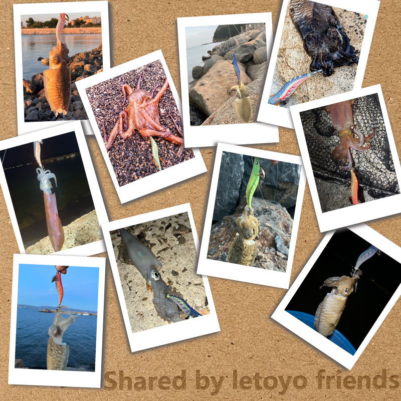 LETOYO 2.5 # 3.0 # 3.5 # Inktvis aas Lichtgevende inktvis Jig Vissen Lokken Kunstaas Voor Webvoet Octopus Inktvis zeevissen lokken