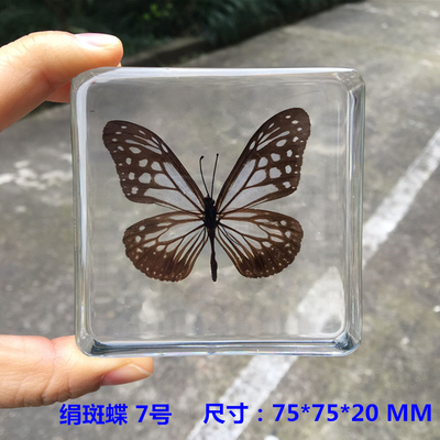 Animal Specimen Onderwijs Kinderen Speelgoed Dier Vlinder Hars Specimen Amber Goederen Van Voor Display Eerder Dan Voor Dragonfly