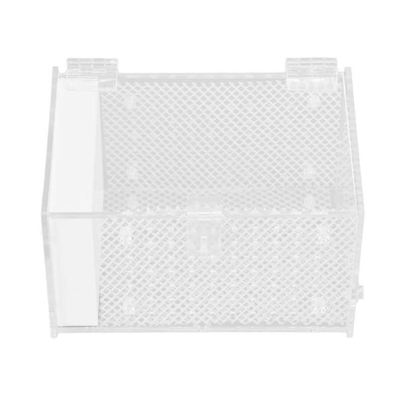 Insects House Landscaping Insect Rearing Box Transparent Feeding Hole Easy Cleaning Acrylic with Climbing Net for Insect Feeding