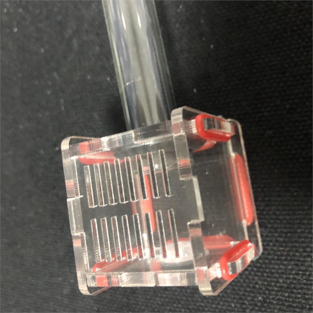 Nuevos minitubos de cristal de 1 uds, nido de Hormigas con zona activa, Granja de Hormigas acrílicas, Granja de Hormigas Nid Fourmis