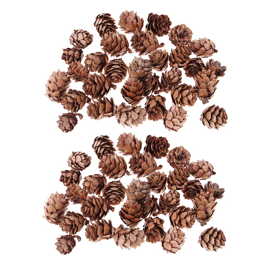 60pcs Natural Decorative Pine Cones Pinecone for Christmas Ornament Crafts