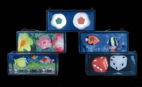 3-D Wonder Bag Stage puntelli magici Party Magic Show Close Up trucchi magici mentalismo illusioni magiche Gimmick Magicain