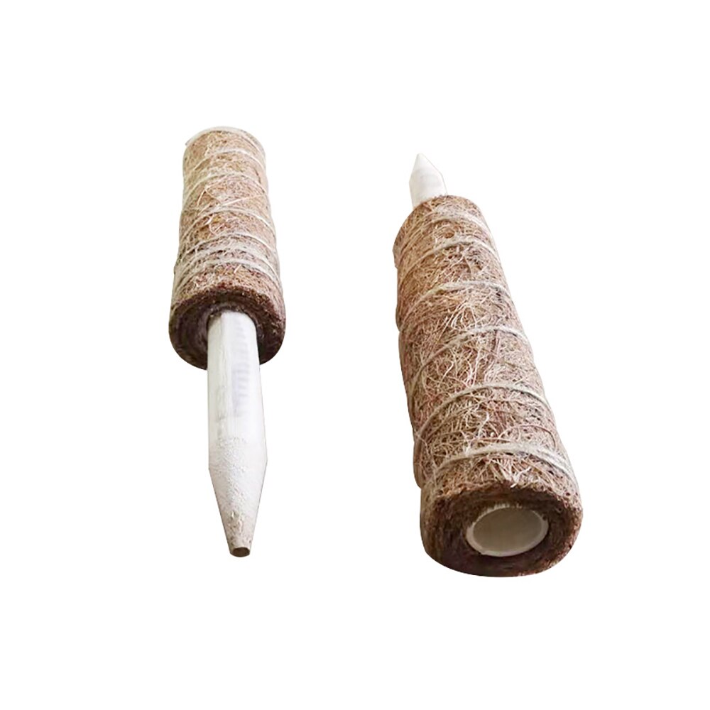 Praktische Garten Anlage Klettern Stick Anlage Klettern Coconut Strut Grün Dill Unterstützung Pol