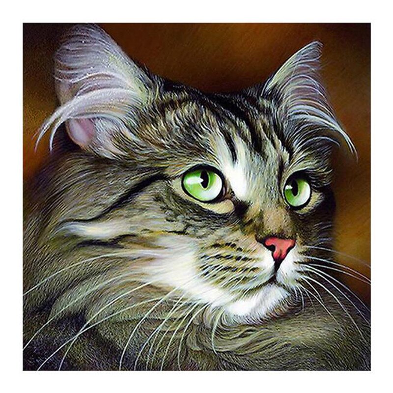 Pintura de diamantes gato bordado diamante cuadro cuadrado completo de diamantes de imitación punto de cruz mosaico animales: type 5