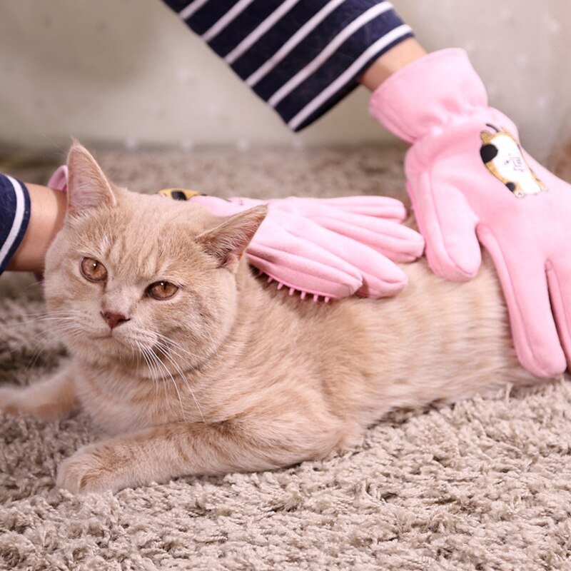 Peigne pour l'épilation des animaux de compagnie, gants de toilettage pour chiens, brosse de Massage, fournitures pour animaux de compagnie