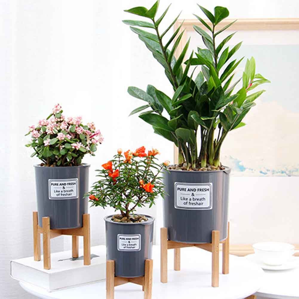Moderni kasvijalusta sisällä ulkona ei horjuva kodin sisustus näyttö teline bonsai kukkaruukun pidike puinen toimisto puutarha vuosisadan puoliväli