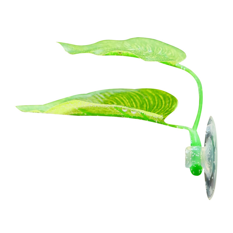 Betta vissen rusten in het aquarium, bladplanten decoratie, paaiplaats, sierplant, betta vissen spelen, ontspannen, kunstmatige schuilplaats, blad hangmat