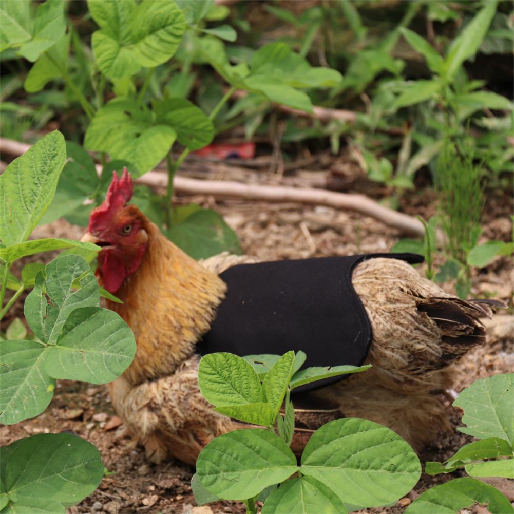 Høne forklæde kylling sadel forklæde fjer beskyttelse holder kylling and vinger tilbage beskytter høne kjole justerbar pet tøj
