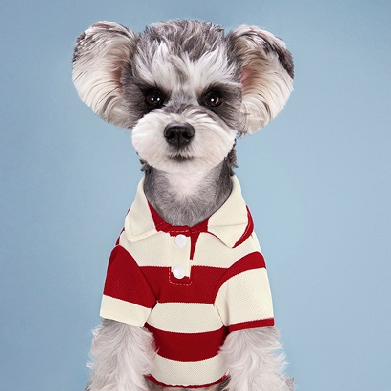 Camiseta Polo para perro, ropa fresca de verano, sudadera a rayas, Yorkie, Chihuahua, ropa para cachorro, chaleco para perros pequeños y medianos, disfraces: L / Verde