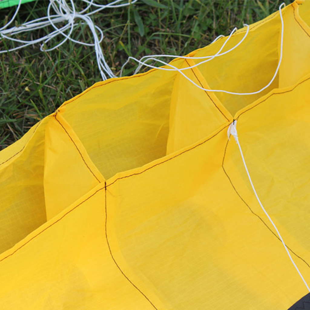 Kite 2,5 m línea Dual paracaídas acrobático deporte playa exterior Kitesurf volando juguetes azul grande niños cometas de juguete cometas para adultos