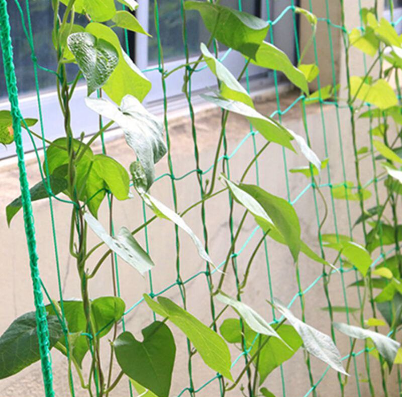 Plantestativ hagearbeid og utstyr plante klatreveggarmatur plante klatreveggklips planteholder støtte plante
