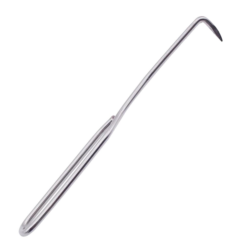 Beekeeping Needle Queen Rearing Grafting Tool Stainless Steel Grafting Tool Bee Hive Scraper Beekeeper - 10inch