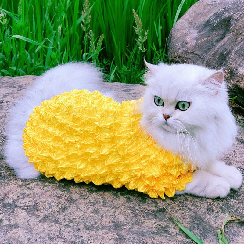 1-16kg pet cat hoodies camisola roupas para animais de estimação para gatos grandes gatos roupas roupas um tamanho fts todos fornecedor do animal de estimação 514035: YELLOW