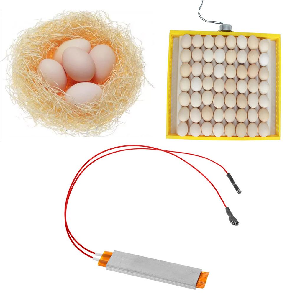Husdyr opvarmning inkubator varmelegeme plade til æg inkubator brooder tilbehør 110v/220v varmeplade