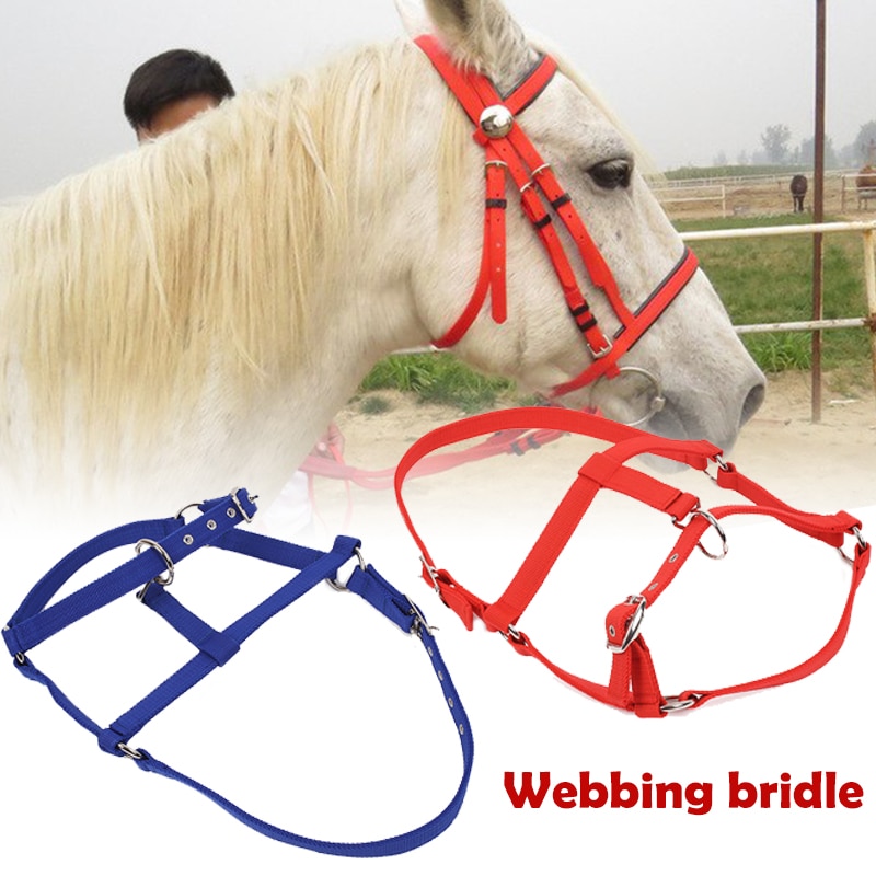 Horse Riding Belt Bridle Adjustable Halter Headstall Horsing Accessory Red/Blue