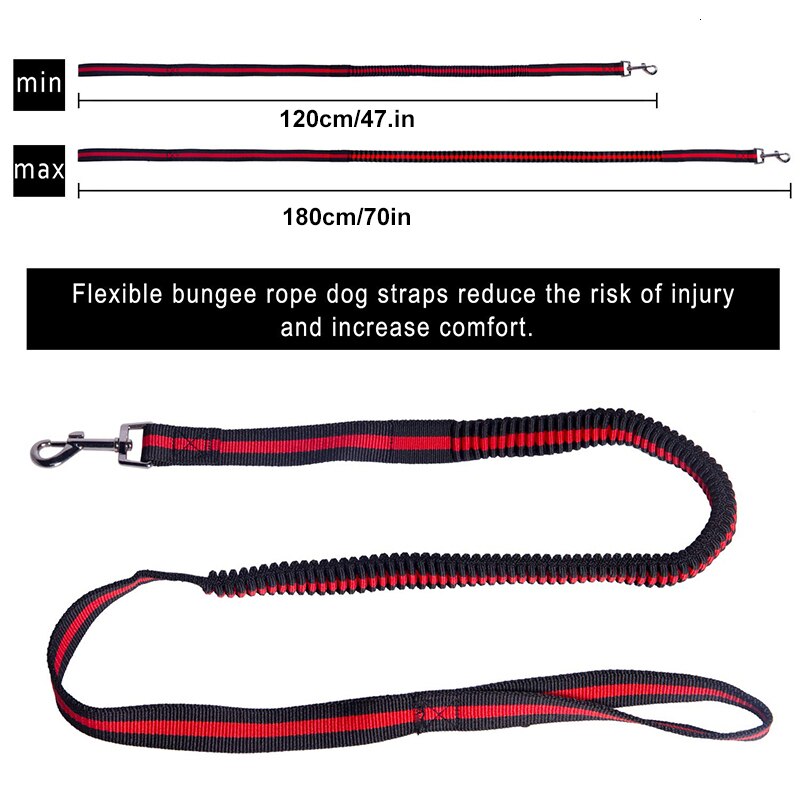 Benepaw højelastisk bungee hundesnor stærkt reb letvægts quick release nylon hvalpe hundesnor til små mellemstore hunde