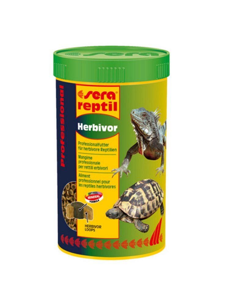Avond Reptil Herbivor Lt 1