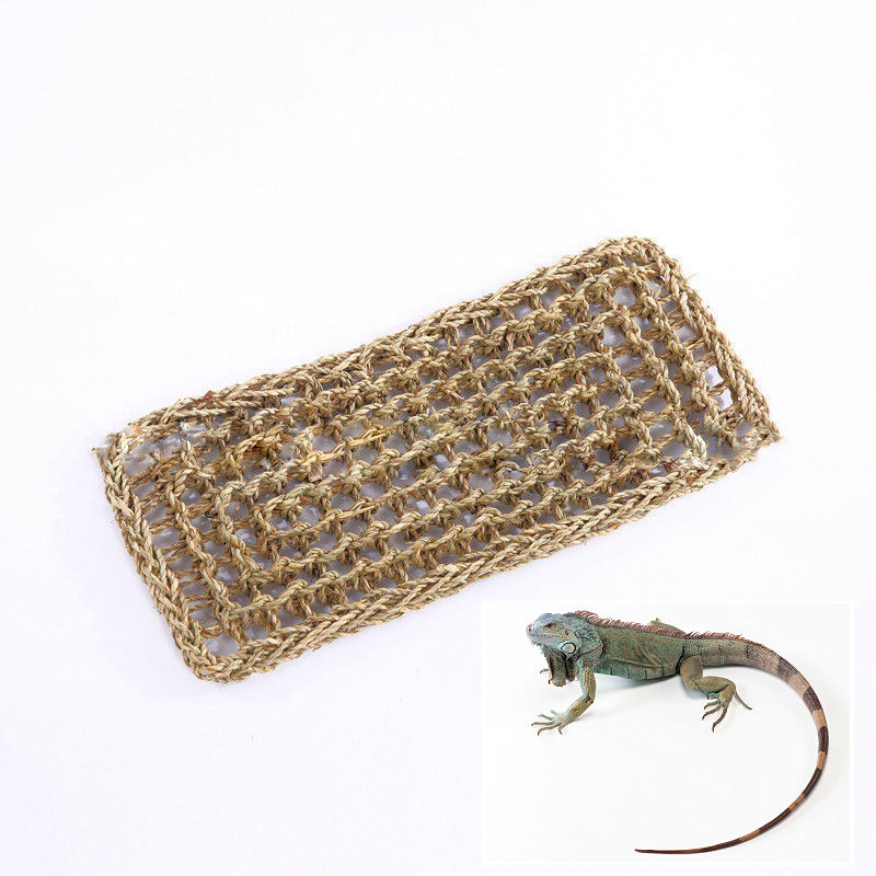 Plataforma de reptil hamaca lagartija tumbona hamacas geccos colgante red tanque Decoración: D