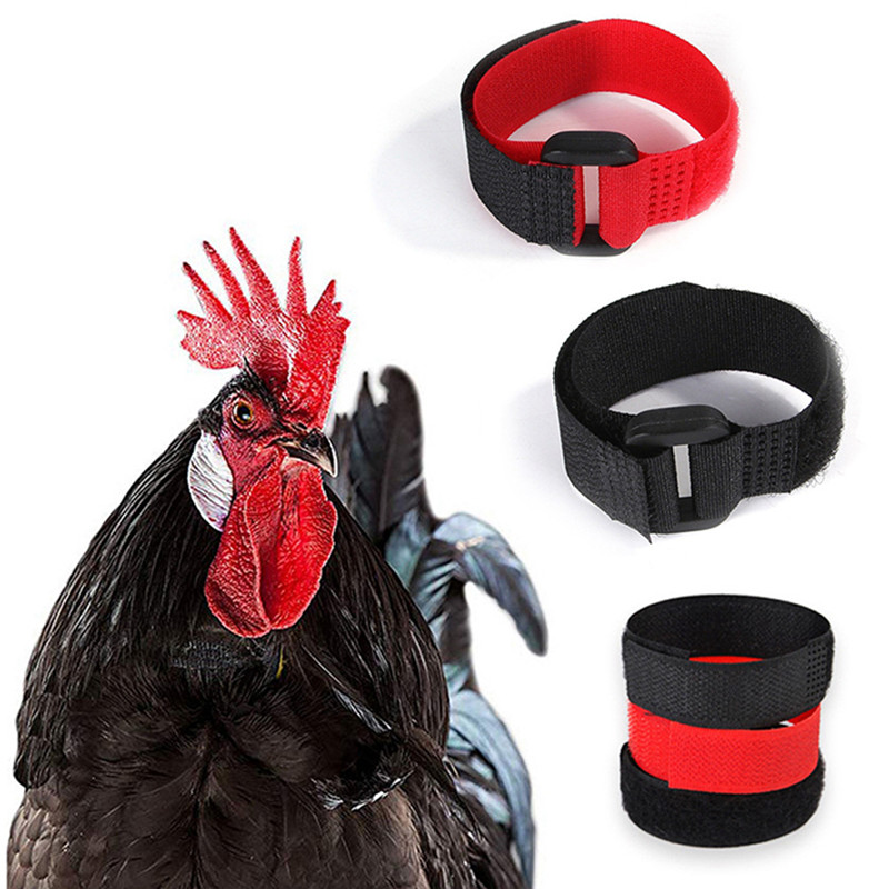 2Pc Rooster Noise-Free Anti-Hook Neckband Collar 2pcs Rooster Neck Collar Supplies Nylon Collar Rooster Supplies