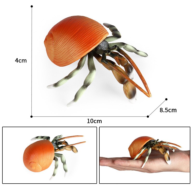 Simulation Meer Leben Modelle Ebene Aktion Einsiedler Krabbe Krabbe Seepferdchen Seesterne Figuren Figuren Pädagogisches spielzeug für freundlicher