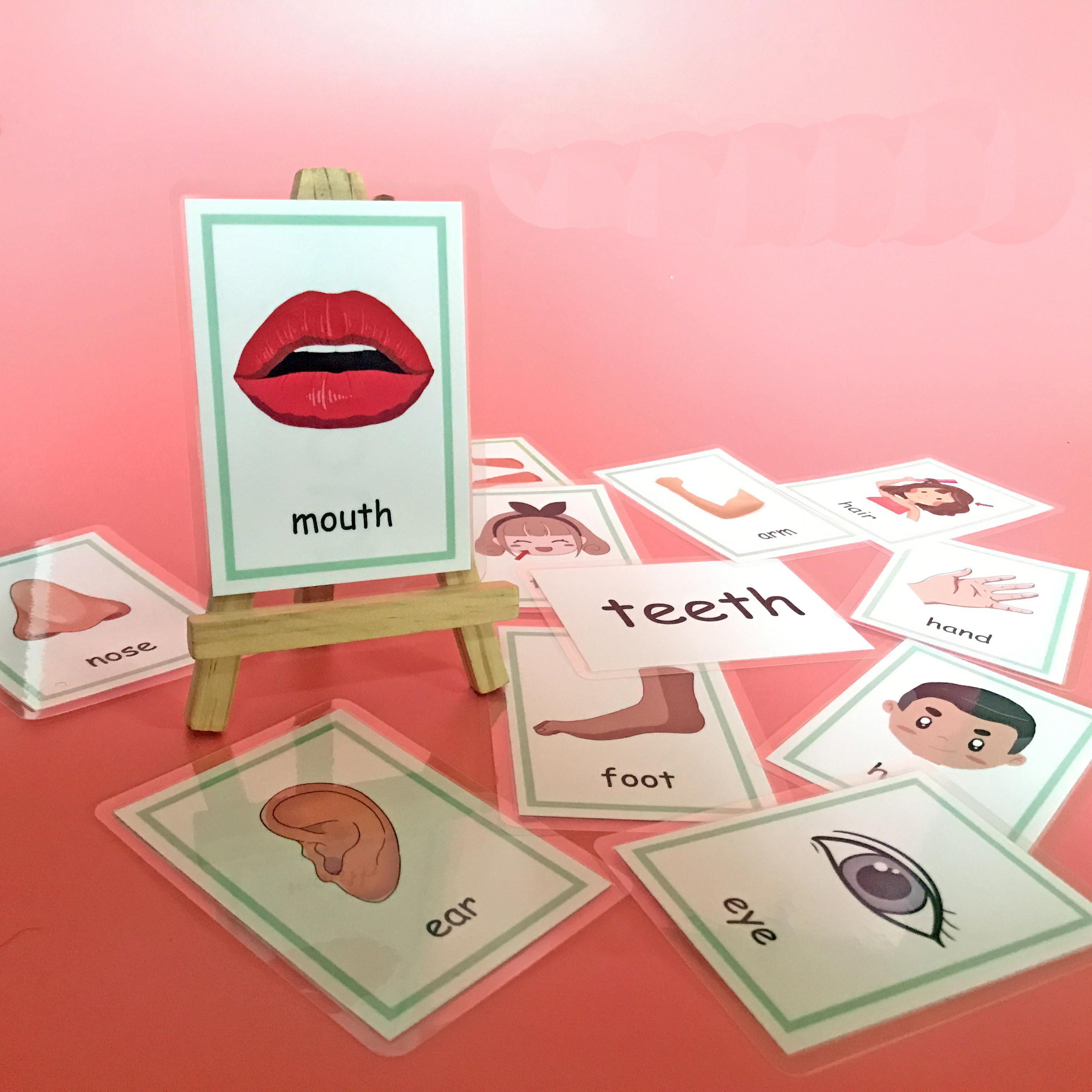 Tarjetas didácticas de aprendizaje de palabras en inglés Montessori para niños, tarjetas educativas tempranas, suministros para el aula, material didáctico para profesores de guardería: Azul