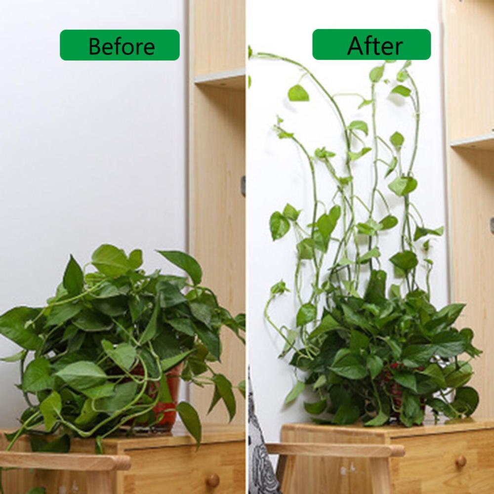 5pcs/lot Wall Climbing Fixer Green Plant Green Vine Climbing Wall Fixer Paste No Trace Hook Home Garden Balcony Decoration