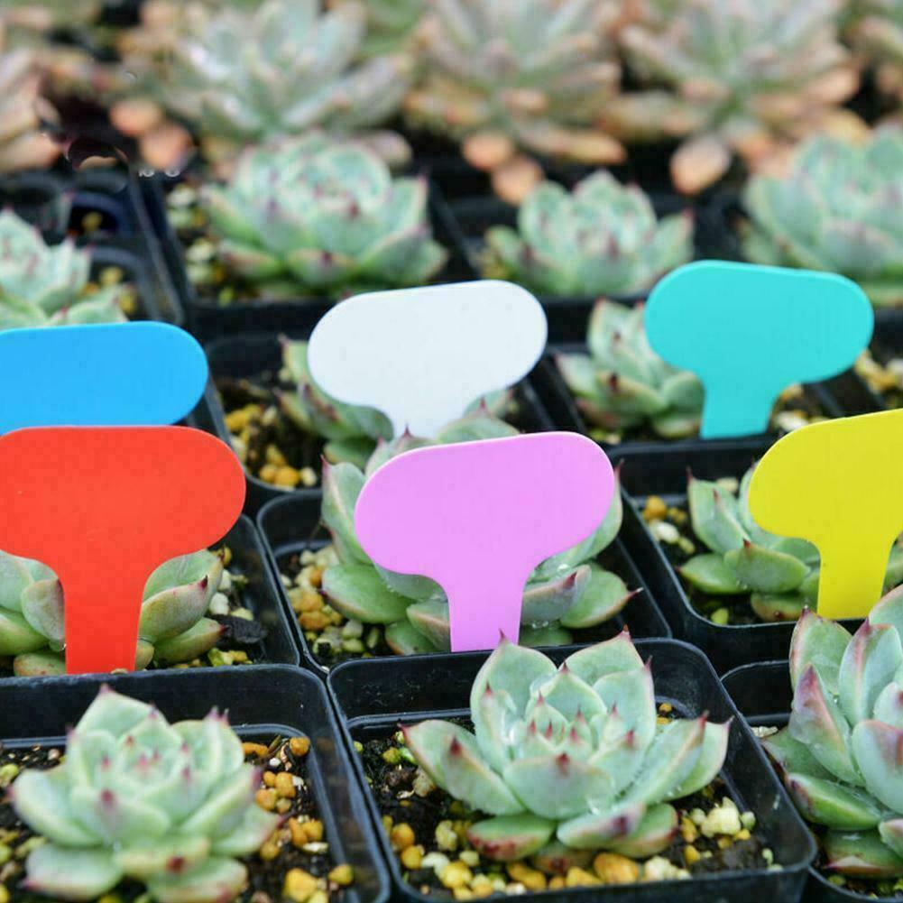 100Pcs Plant Labels 7 Colours Garden Stakes Markers Tags Waterproof Re-Usable Markers Flower Vegetables Potted Sign Stakes
