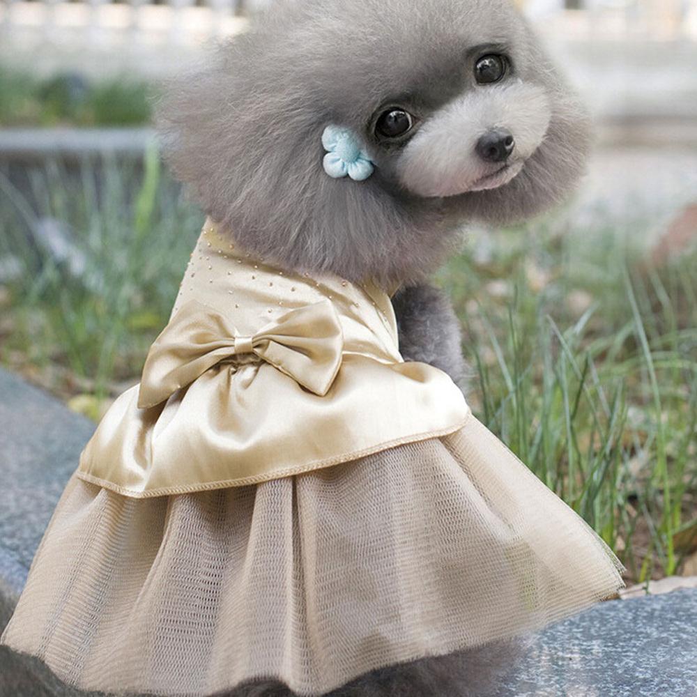 Robe princesse pour animaux de compagnie, tenue à strass, 3 couleurs pour chiens et chiots, vêtements pour fêtes et mariages: Champagne / M
