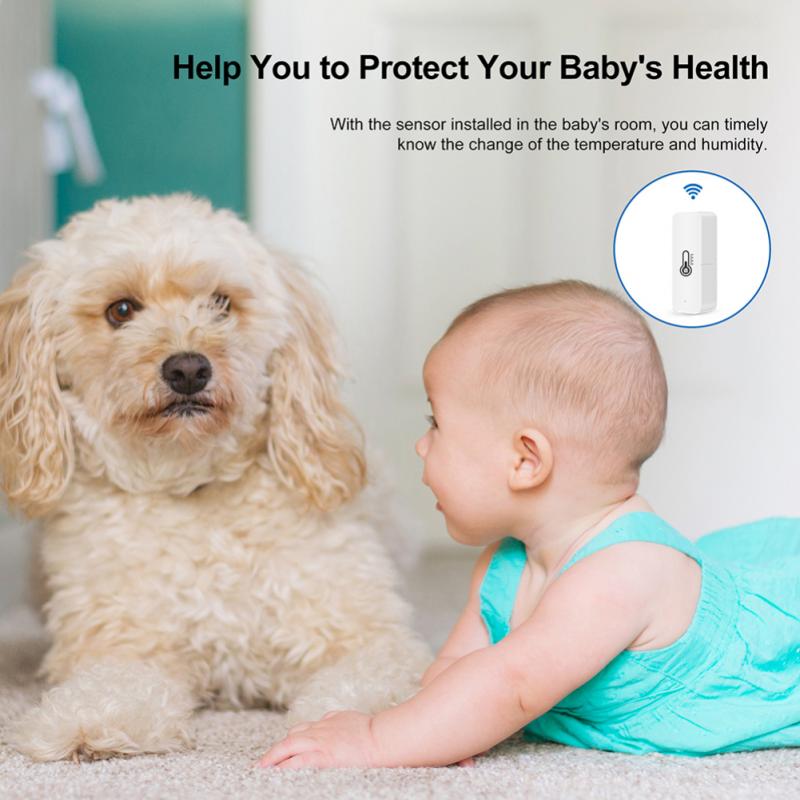 Tuya Wifi Smart Temperature And Humidity Sensor With Buzzer Alarm Smart Life APP Voice Control Support Alexa Google Assistant