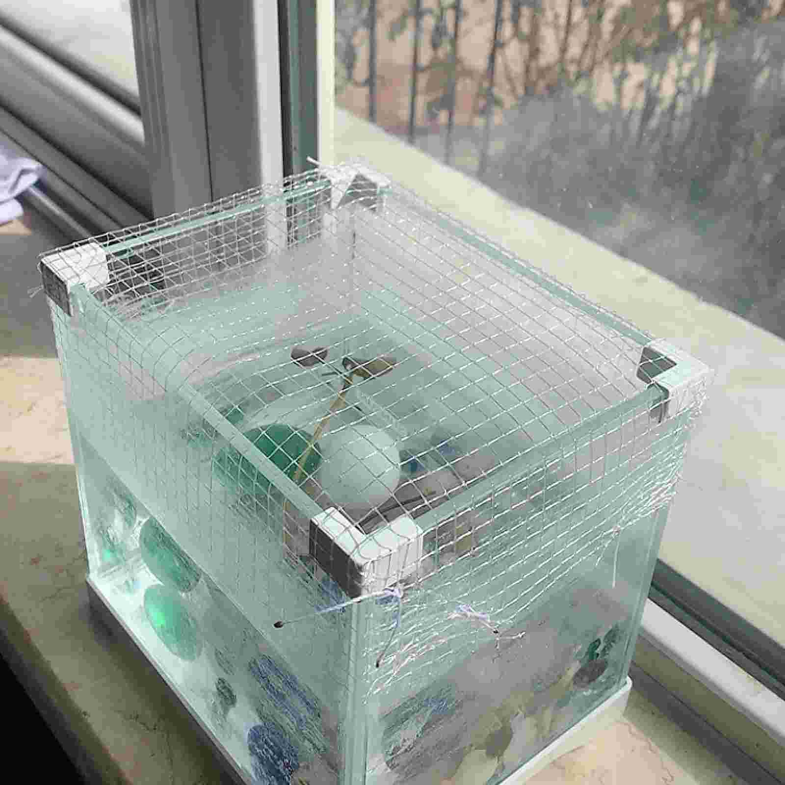 Red antisalto para acuario, cubierta protectora para pecera, malla transparente, 1m/1,2 m