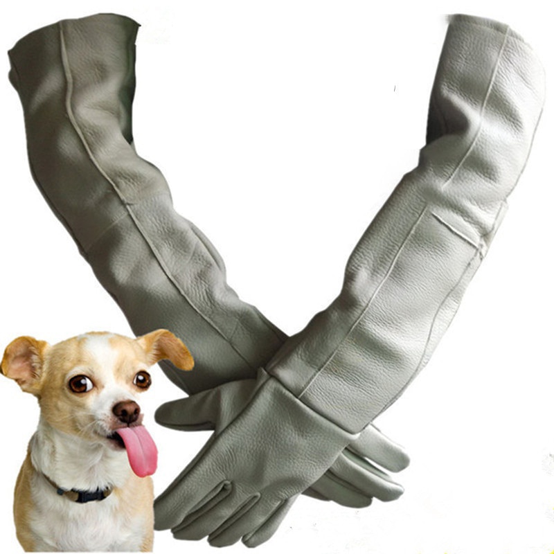 Haustier Hund Katze Handschuhe Beien kratzen best...  Grandado