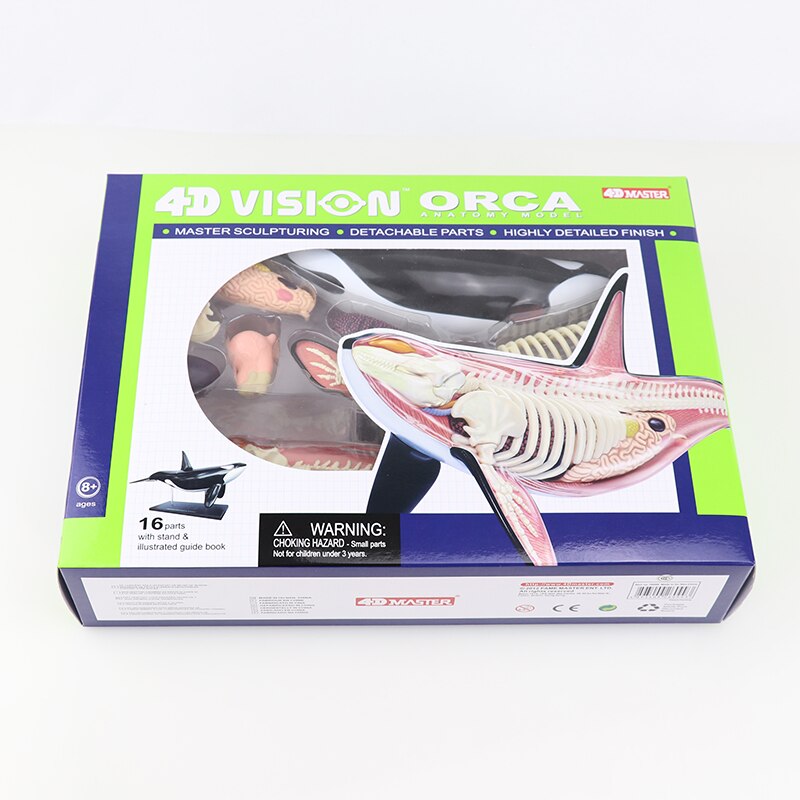 Simulatie dier pop 4d meester puzzel assemblage speelgoed wezen gevogelte kat hond paard varken haai walvis orgaan anatomie: Walvis