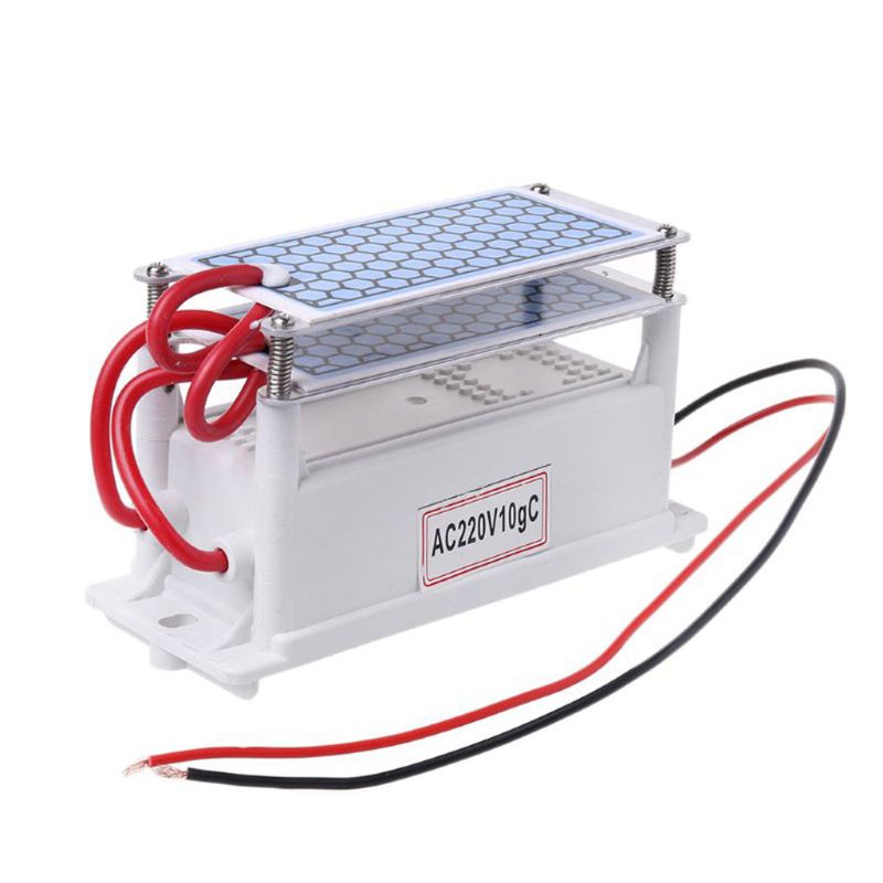10g/h DC12V/AC220V Portable Ozone Generator Integrated Ceramic Ozonizer Air Sterilization: AC220V