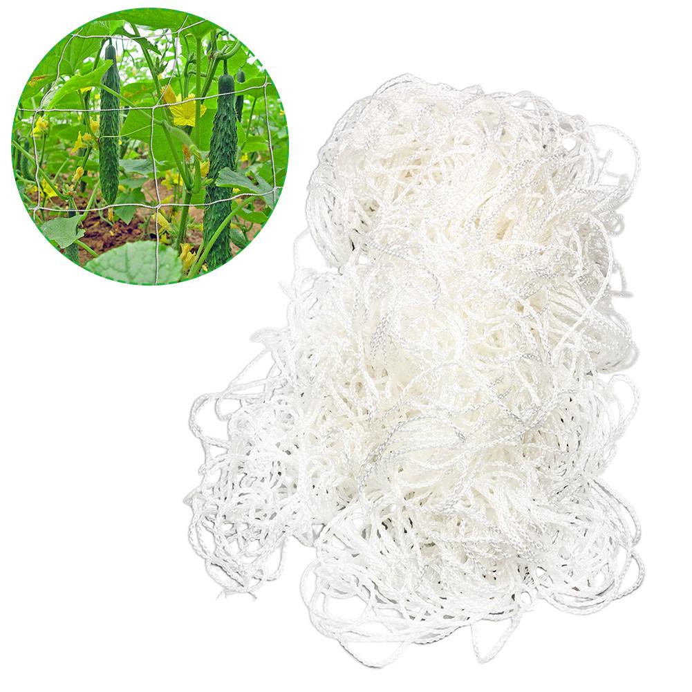 Planter klatrenet polyester rottingnet plantegitter klatrenet netværk til bønner ærter agurker tomater: Default Title