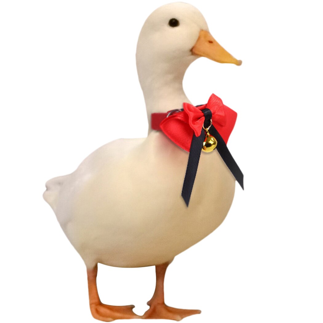 Collar decorativo ajustable para mascotas, decoración estilo campana, pajarita para pollo, pato, ganso